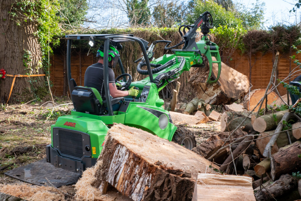 Tree Felling and Dismantling using Advanced Machinery in Berkshire