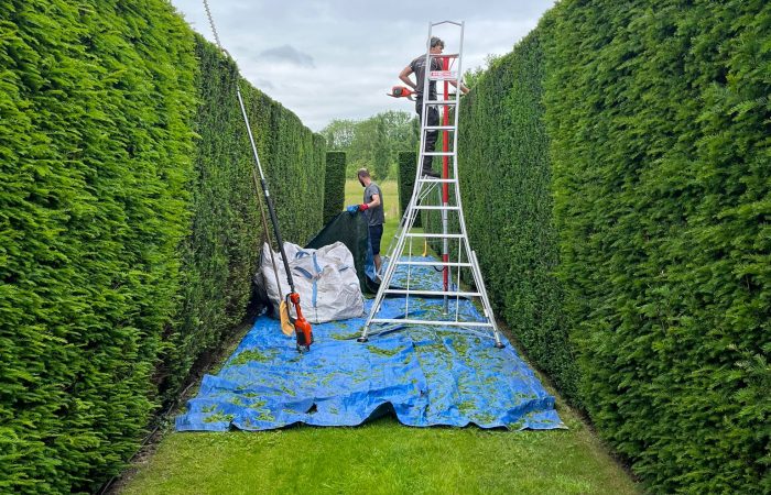 Hedge cutting in Newbury, Berkshire