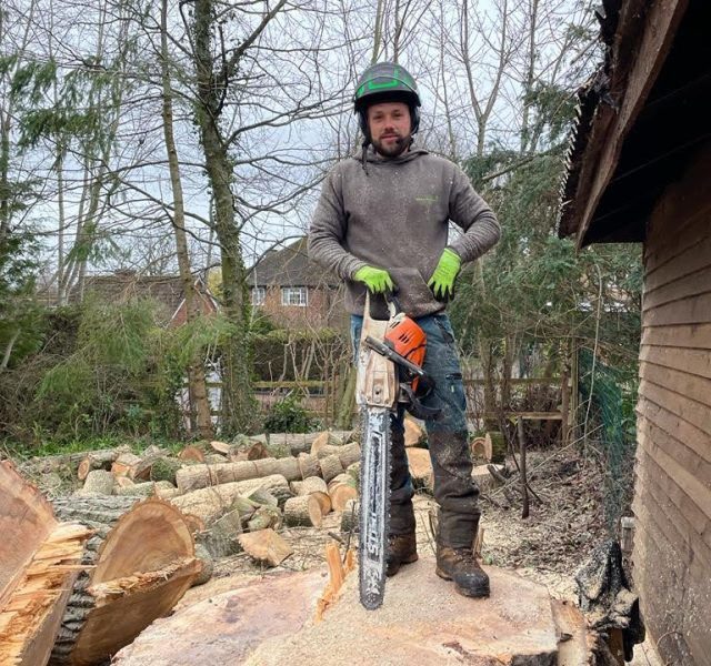 Team at Evolution Tree Surgery - Tree Services in Newbury, Berkshire