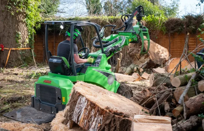 Tree Felling and Dismantling using Advanced Machinery in Berkshire