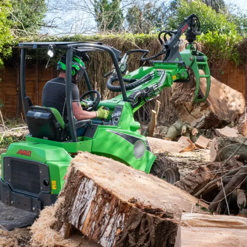 Tree Felling and Dismantling using Advanced Machinery in Berkshire