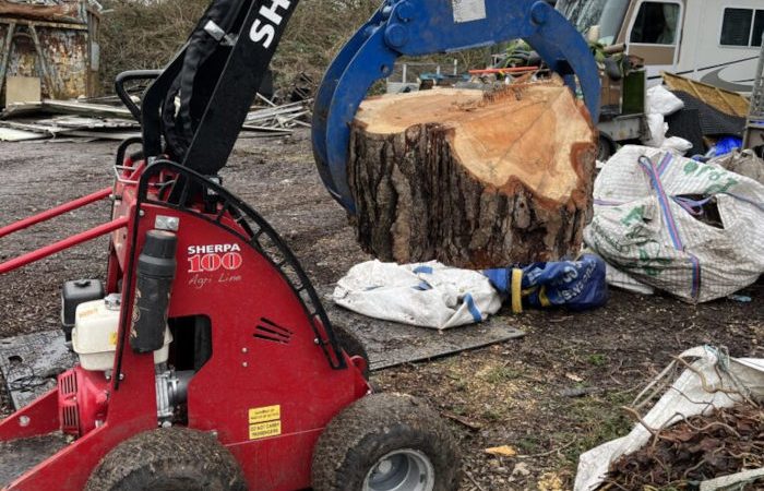 Tree and Stump Removal in Berkshire